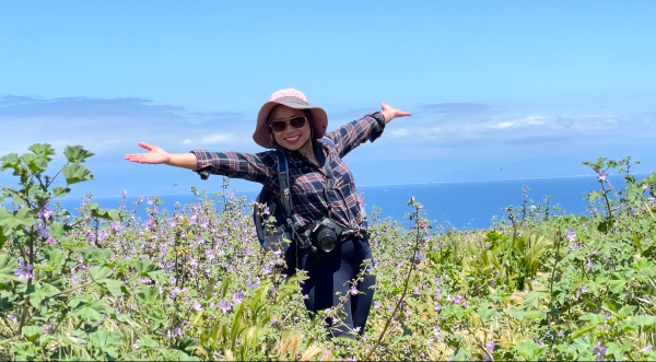 wildflowers in anacapa island
