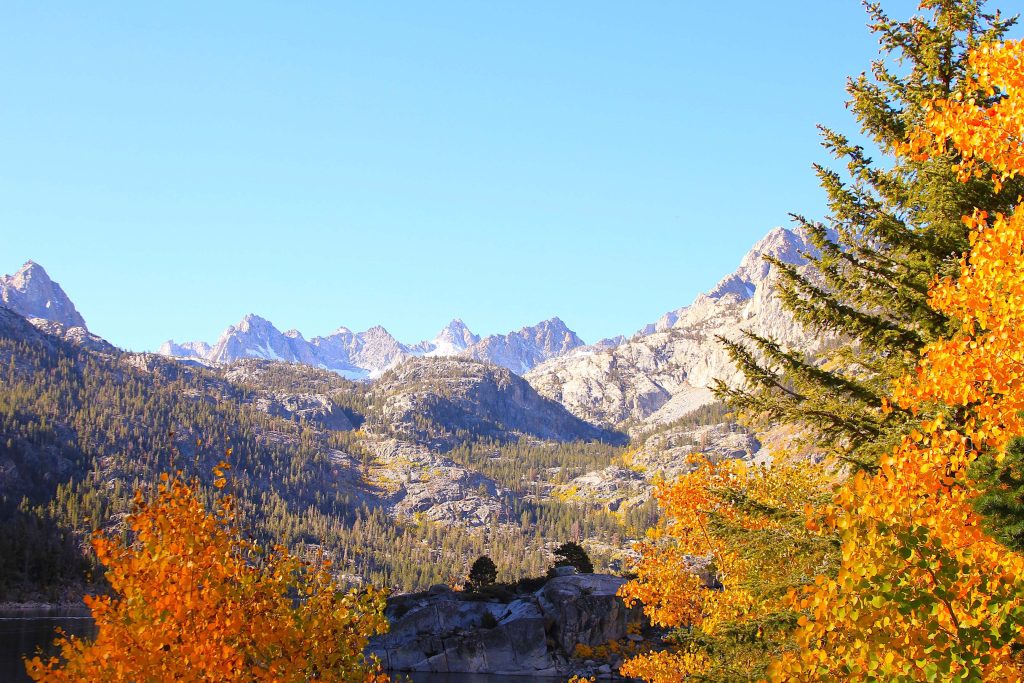 Fall colors in Bishop, California