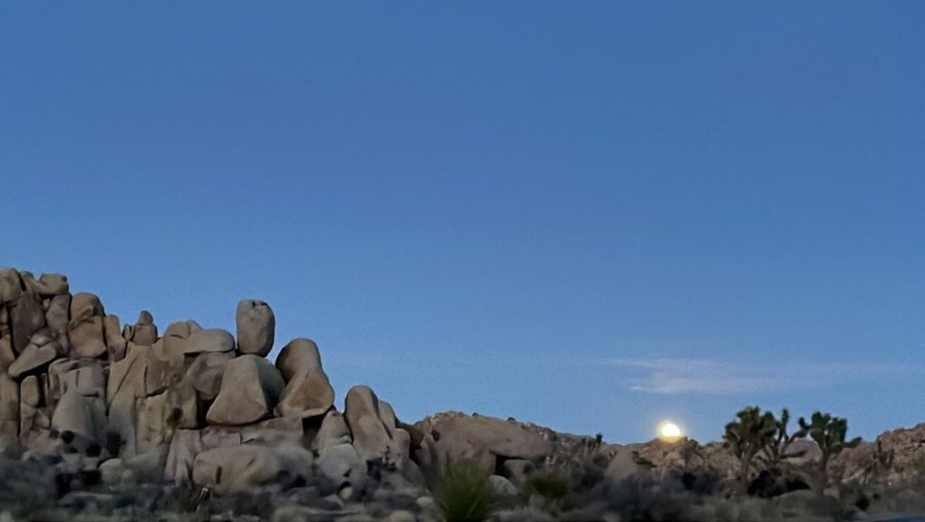 Moon rise in Joshua Tree