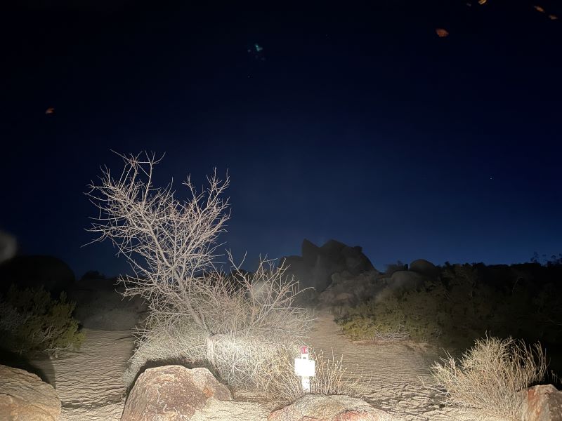 Campsite at Jumbo Rock Campground