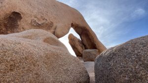 The Complete Travel Guide To Visit Joshua Tree National Park 2026