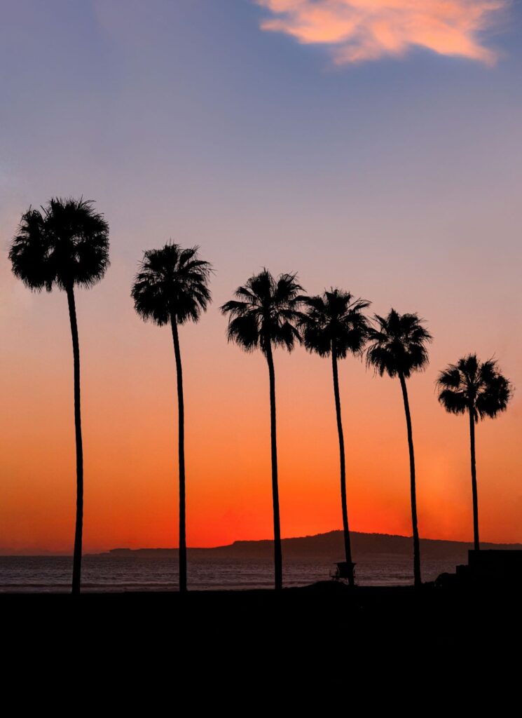 sunset in hungtington beach