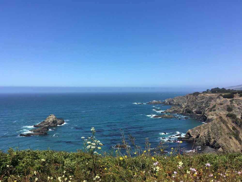 west coast view