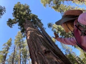 20 Best Places To Visit in California on New Year