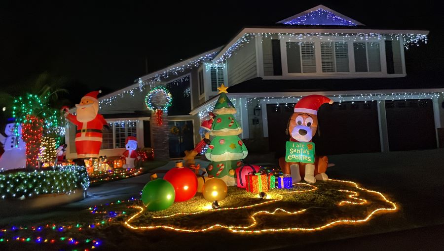 christmas lights in neighborhood