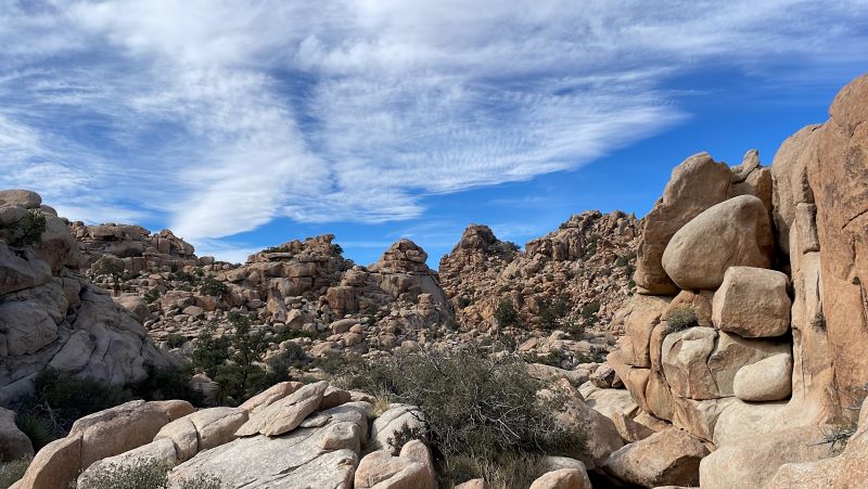 Jumbo rock campground Joshua Tree view