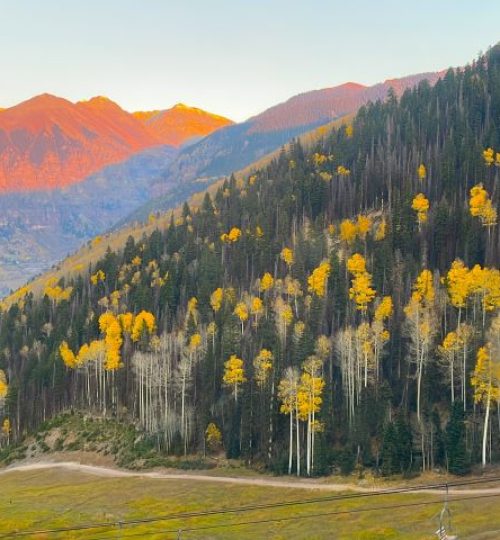 TELLURIDE